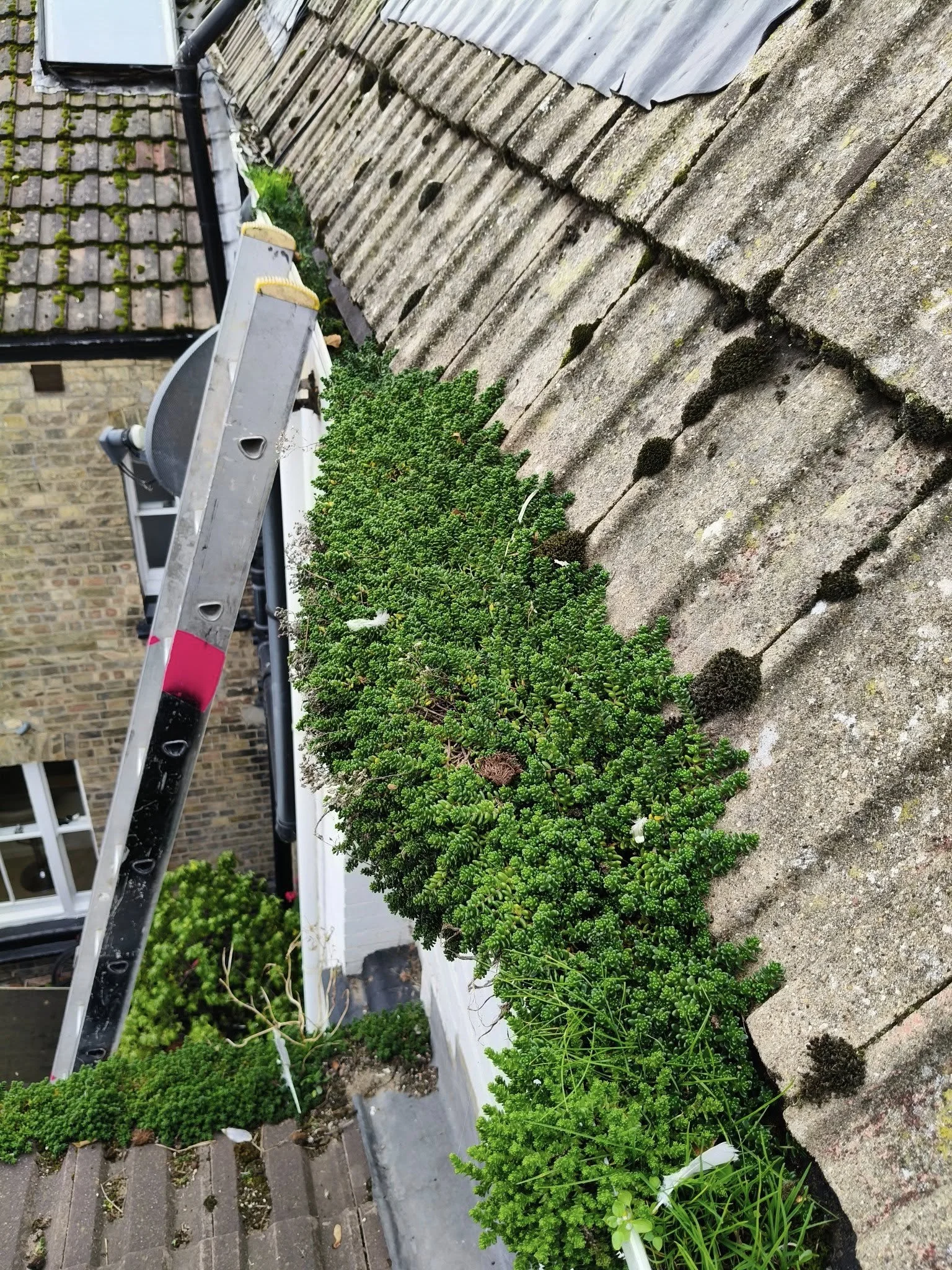 Gutter problems and repairs
