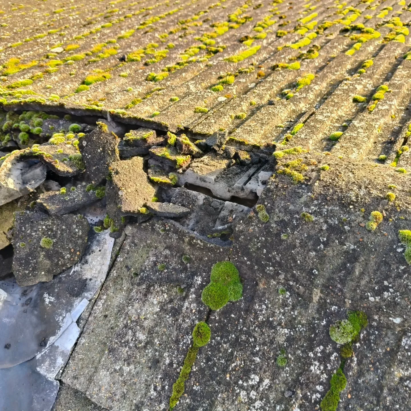 Hail damage assessment