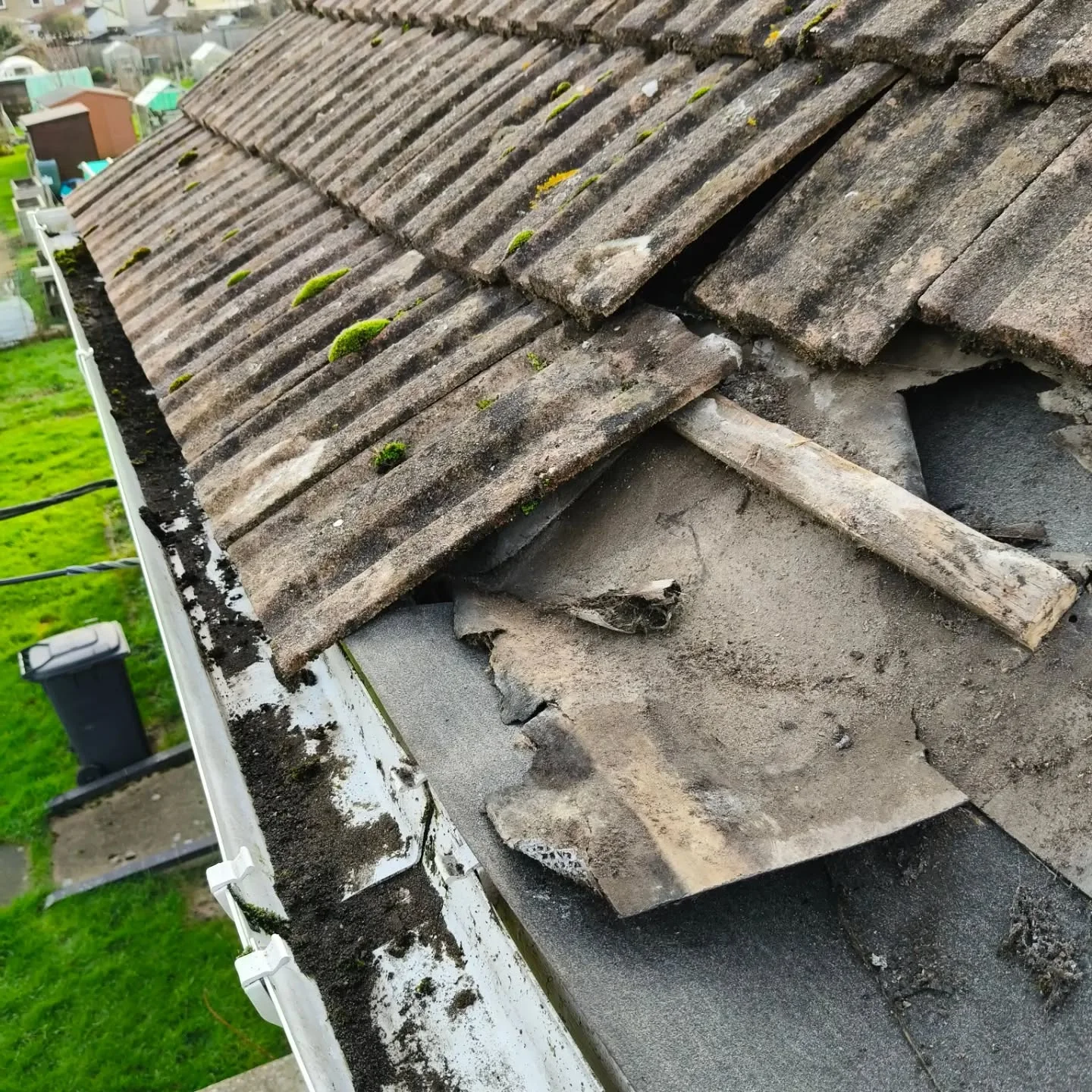 Repairs & Maintenance