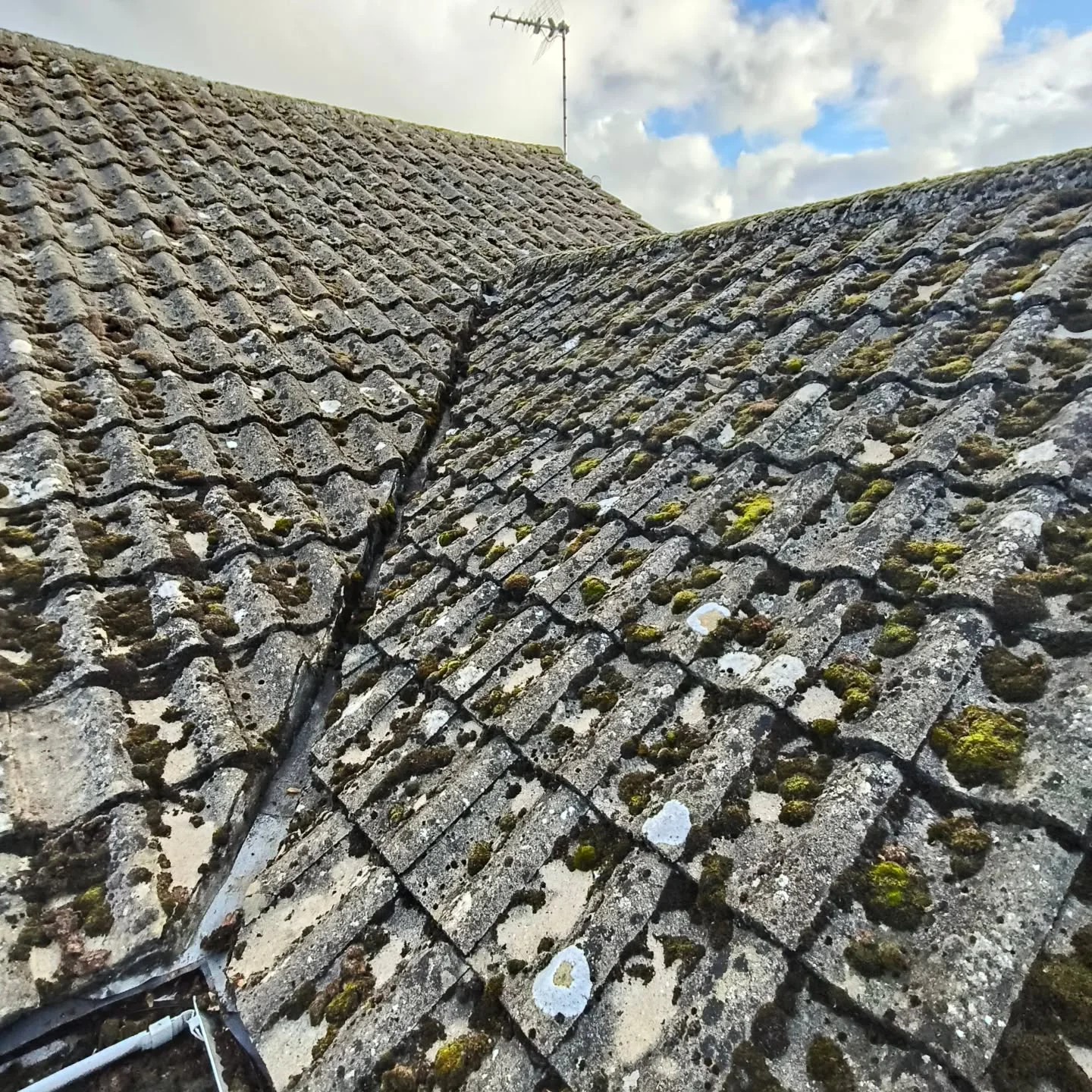 Roof Maintenance