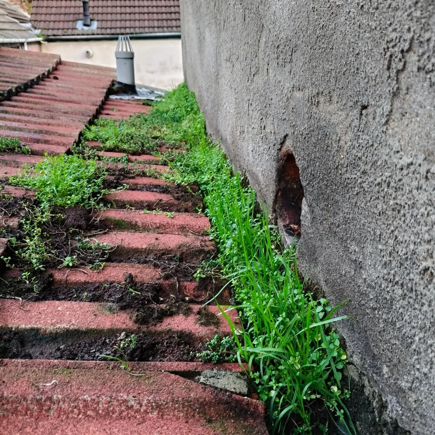 Comprehensive roof inspection